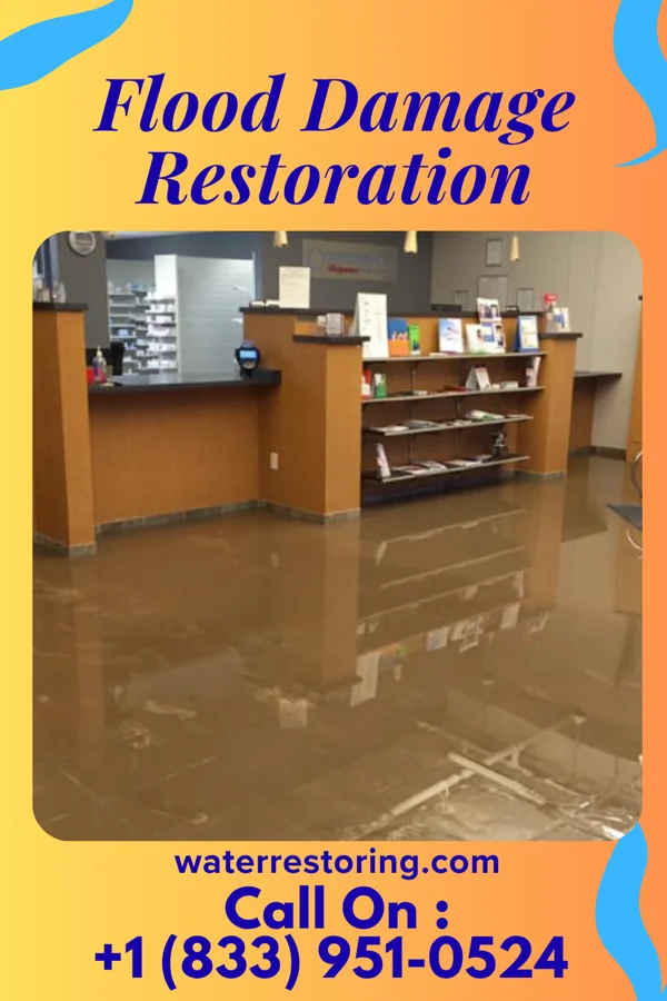 Flood Damage Restoration in Cass Lake, MN