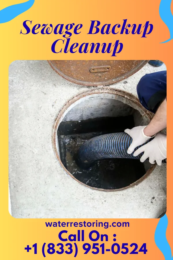 Sewage Backup Cleanup in Cass Lake, MN