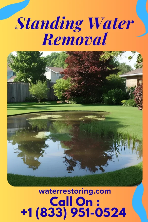 Standing Water Removal in Cass Lake, MN